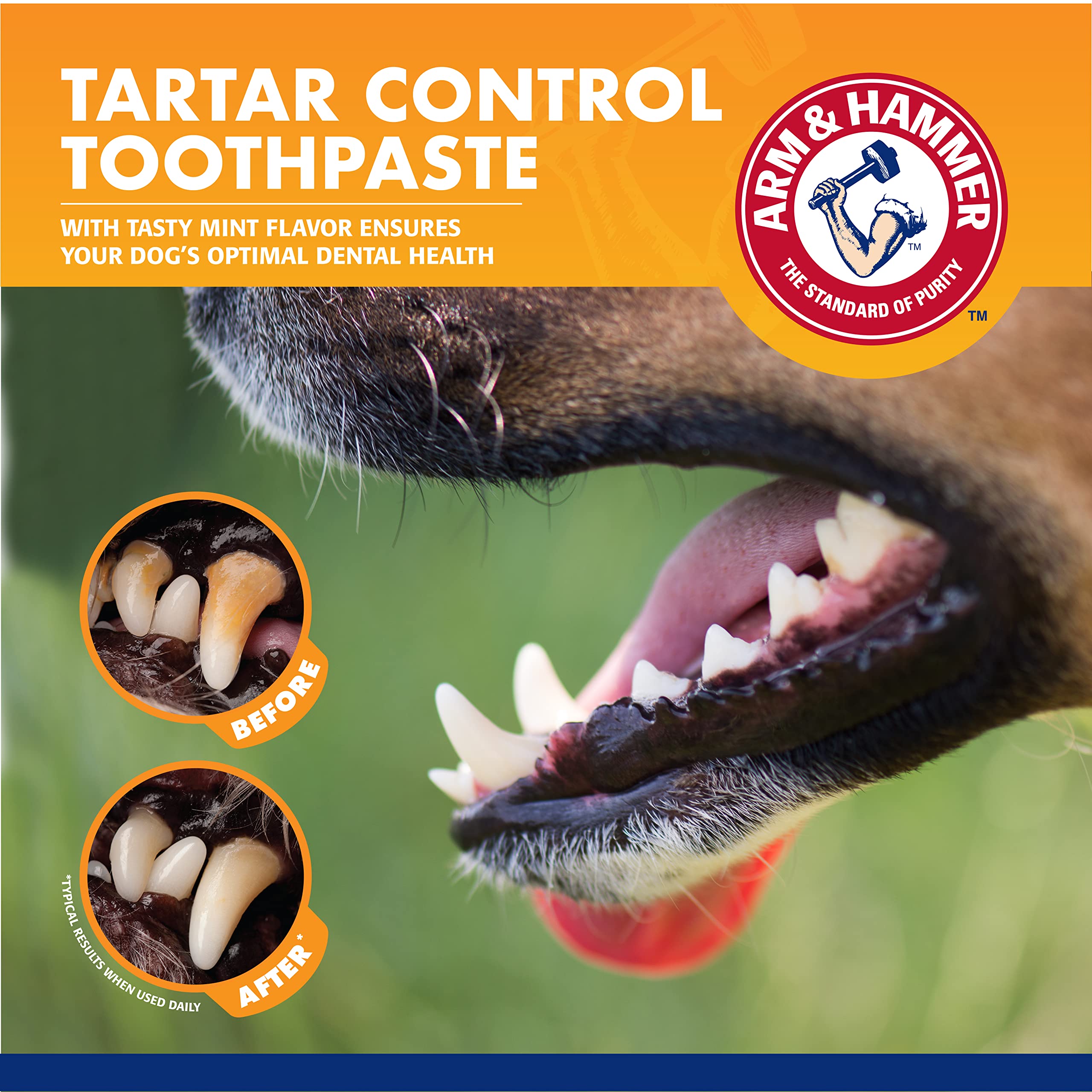 Arm & Hammer brosse doigt en usage sur chien, contact doux pour gencives
