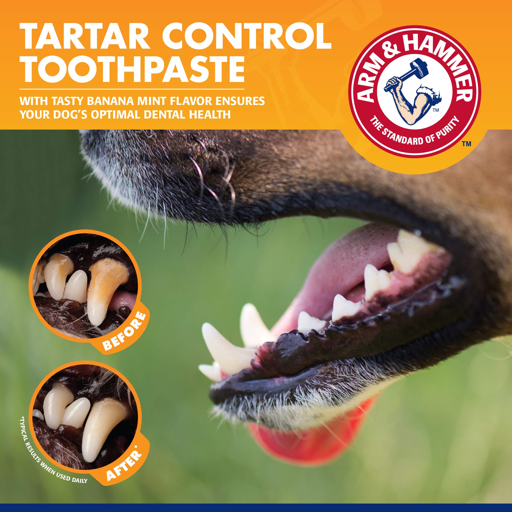 ARM & HAMMER brosse à doigt en usage démontrant apprentissage doux pour chiots