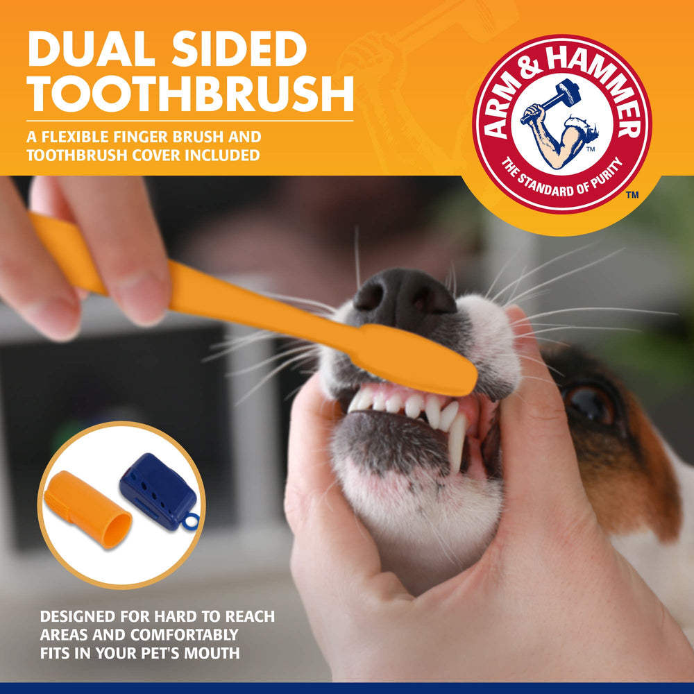 ARM & HAMMER double-brosse détail montrant têtes grande et petite pour nettoyage complet