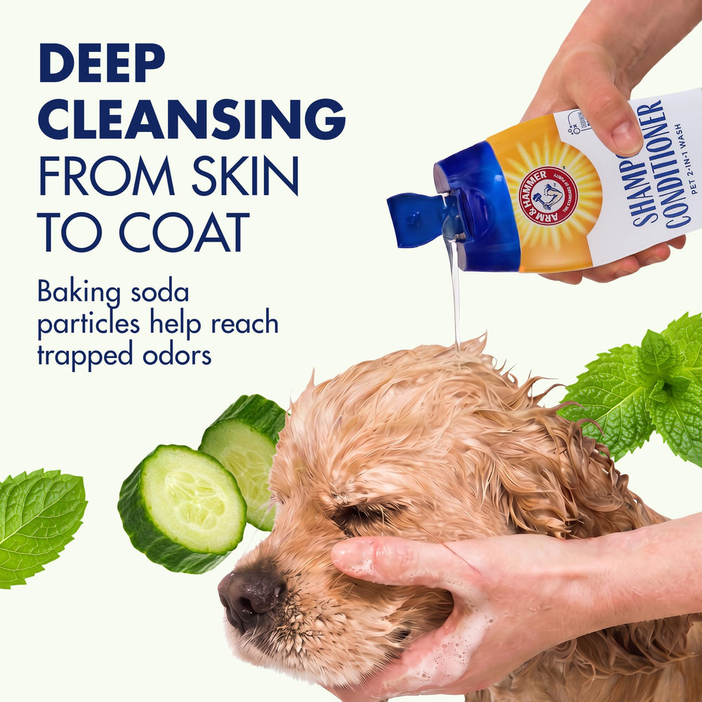 Arm & Hammer chien en bain appliquant mousse pour un pelage propre