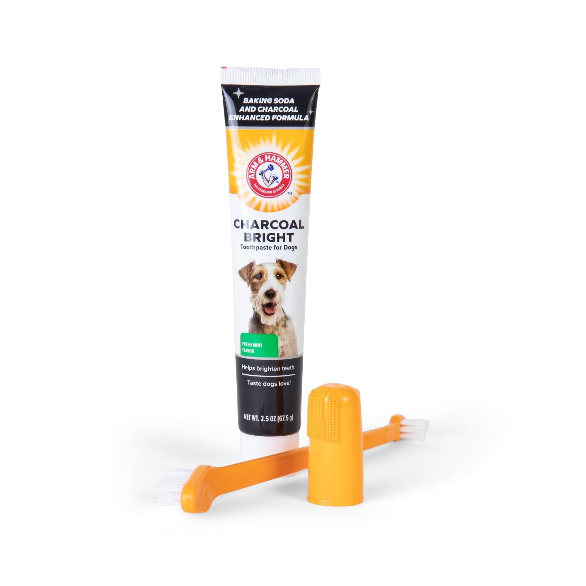 Arm & Hammer brosse à côté d'une main pour comparaison de taille, facile à manier