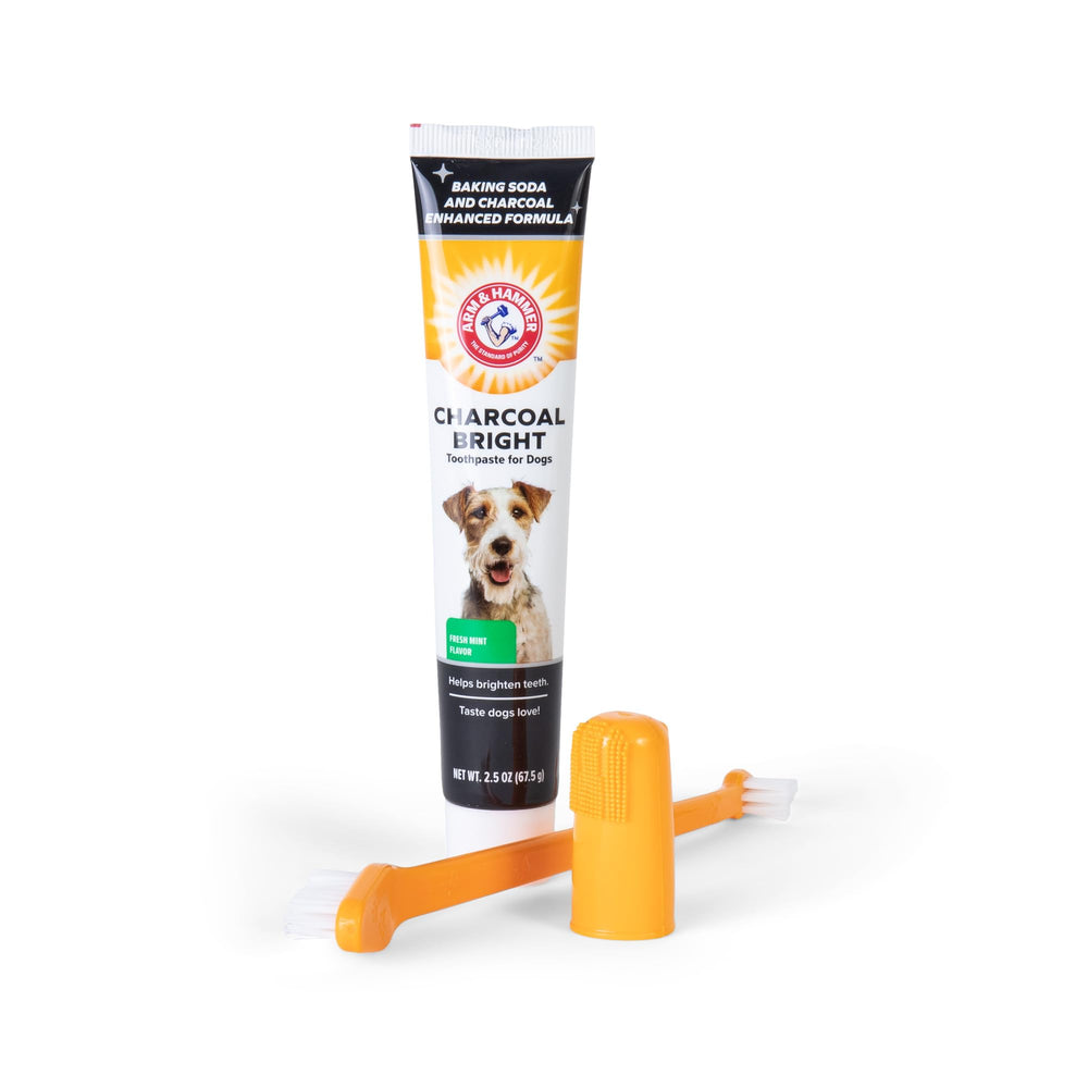 Arm & Hammer brosse à côté d'une main pour comparaison de taille, facile à manier