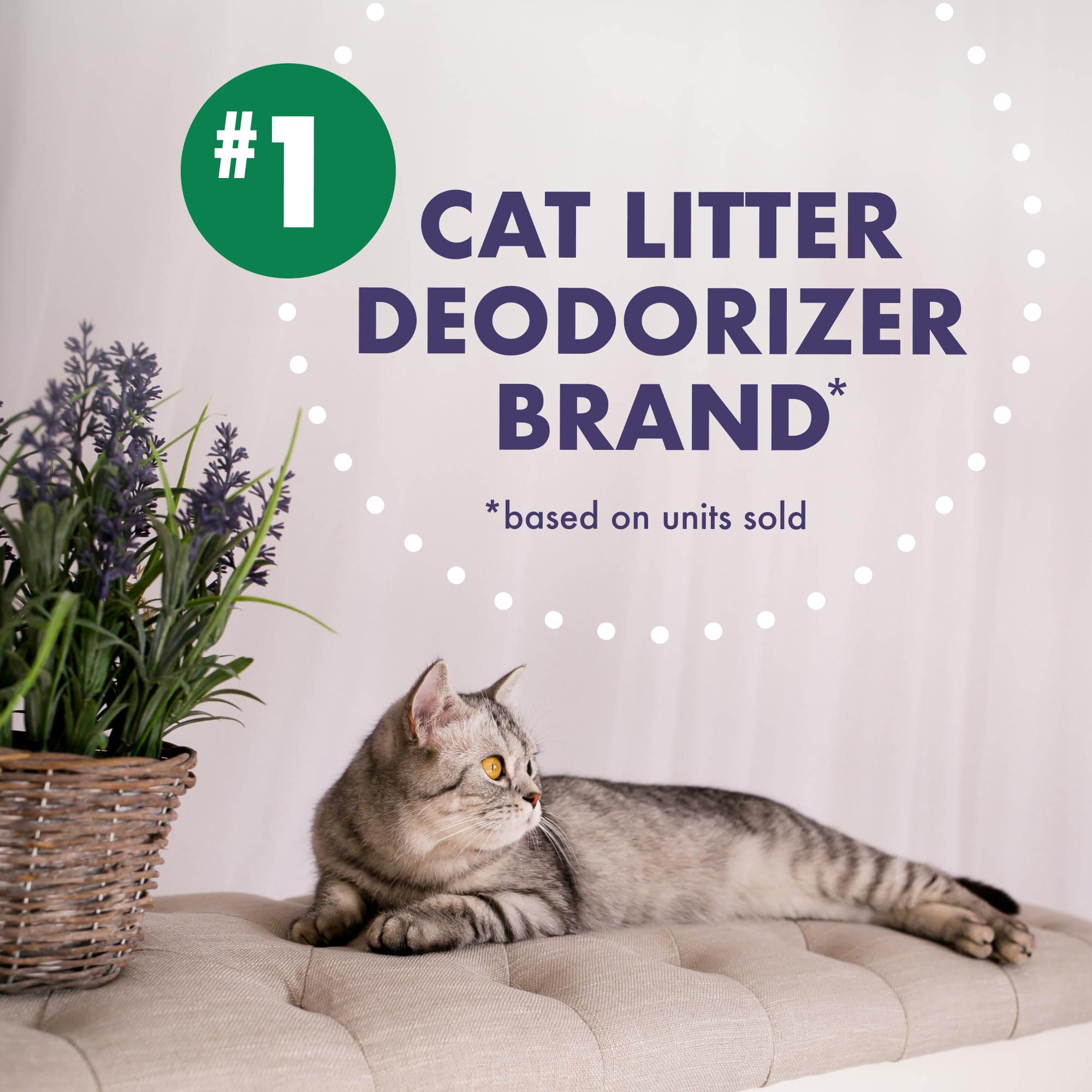 Pack de six pots ARM & HAMMER Forever Fresh idéal pour foyers avec plusieurs chats