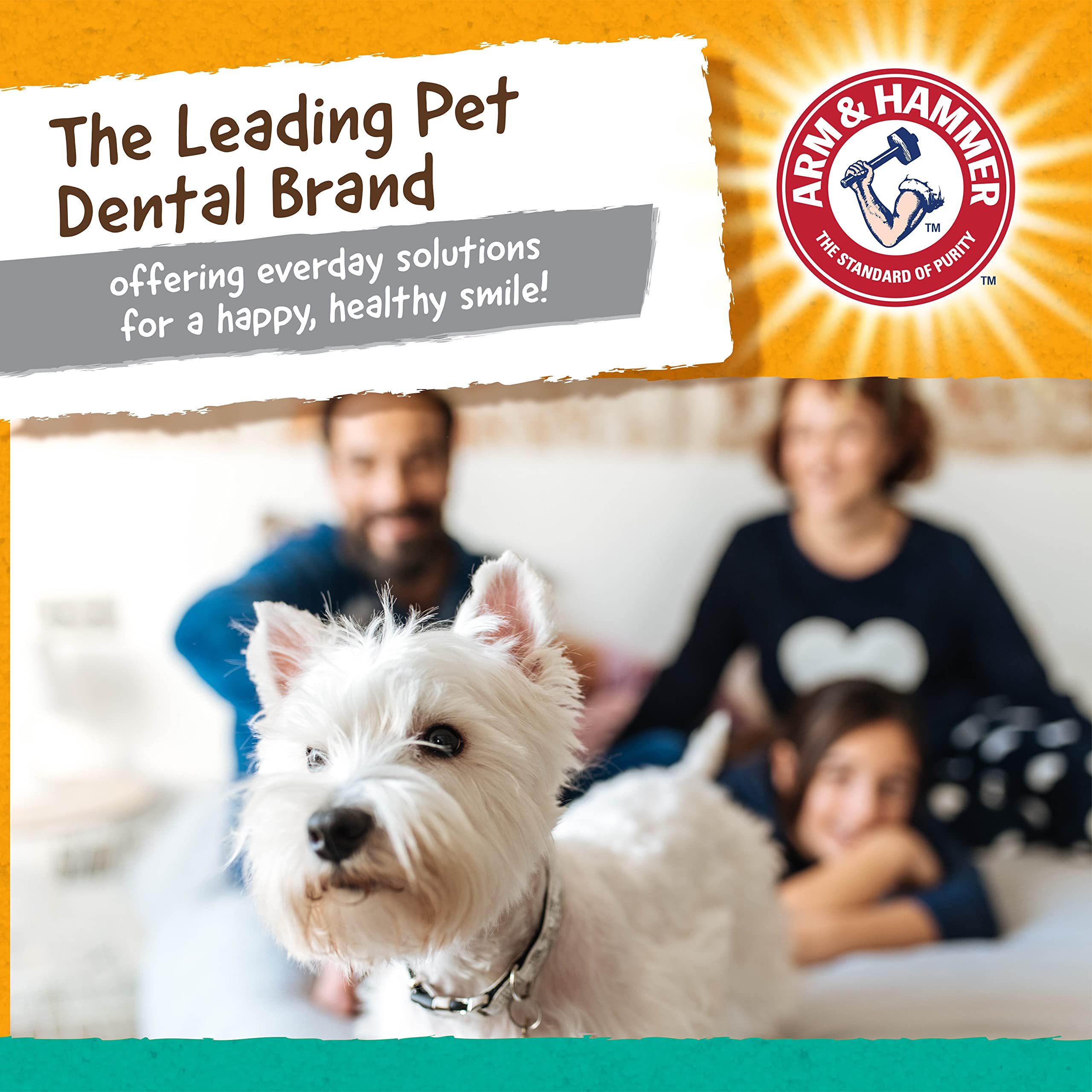 Arm & Hammer jouet dans lave-vaisselle nettoyage facile et hygiénique
