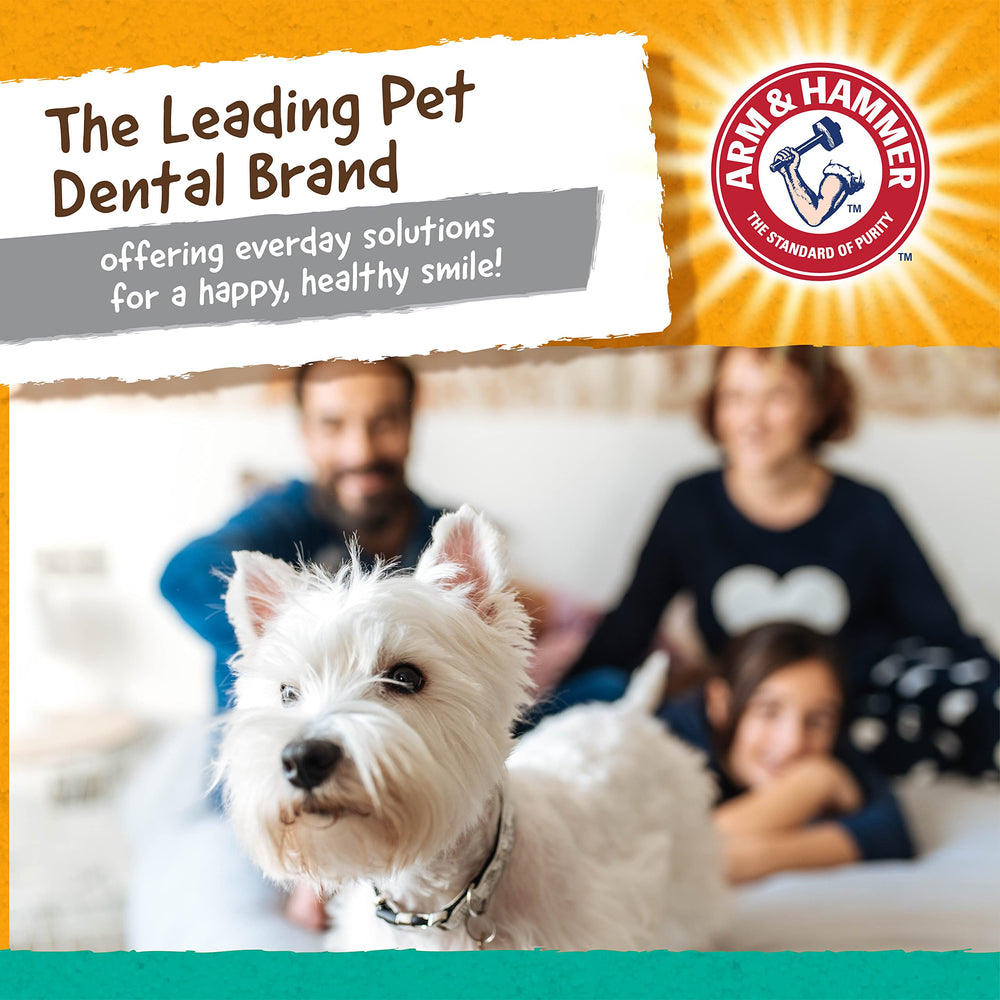 Arm & Hammer jouet dans lave-vaisselle nettoyage facile et hygiénique