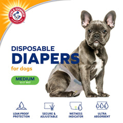 Arm & Hammer gros plan du noyau absorbant pour absorption rapide