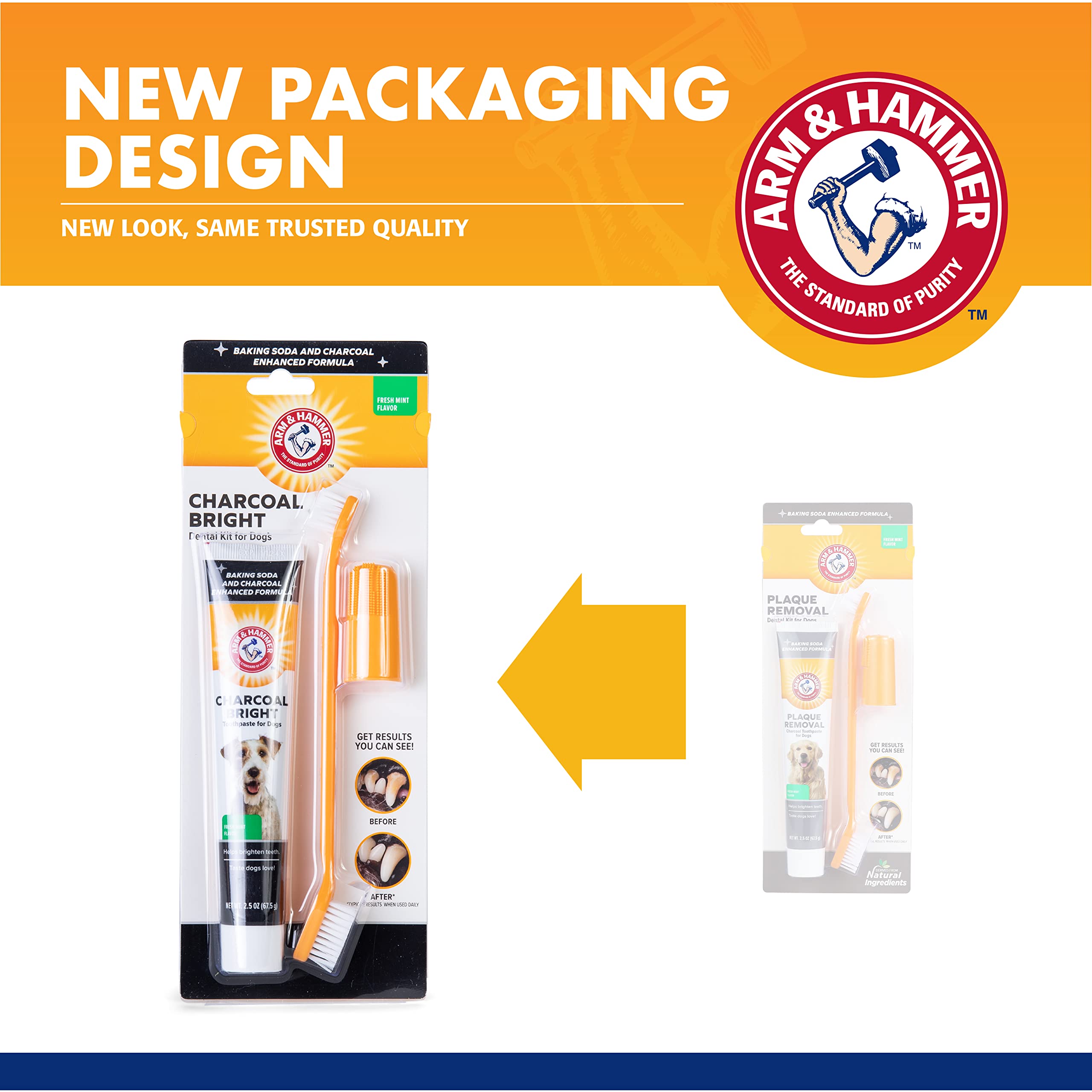 Arm & Hammer kit complet posé sur table, prêt pour brossage quotidien