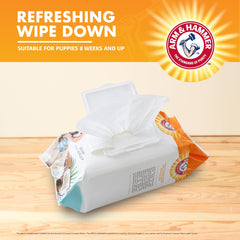 Arm & Hammer lingette en main montrant usage facile en sortie