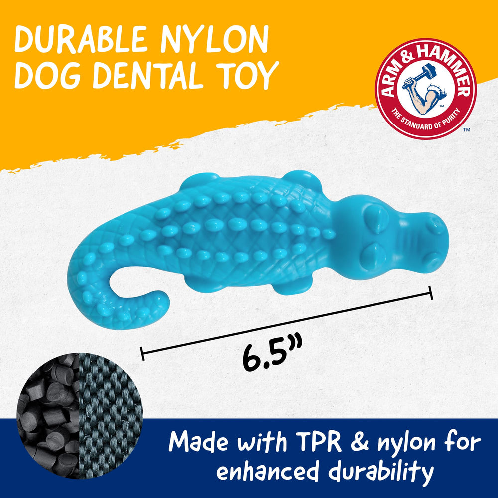 ARM & HAMMER chien qui mastique montre engagement et stimulation durable