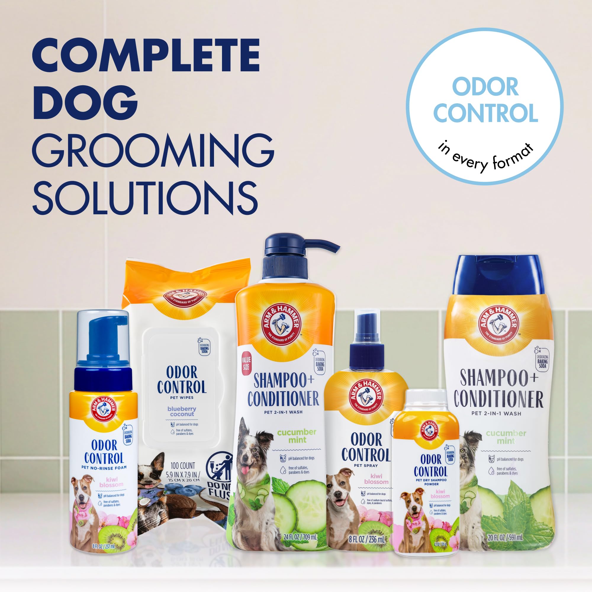 Arm & Hammer pack de deux bouteilles pour une réserve économique