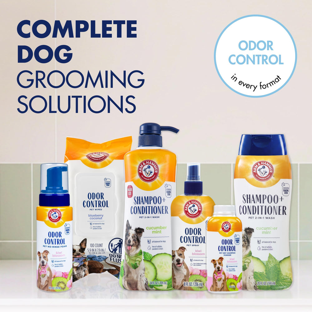 Arm & Hammer pack de deux bouteilles pour une réserve économique