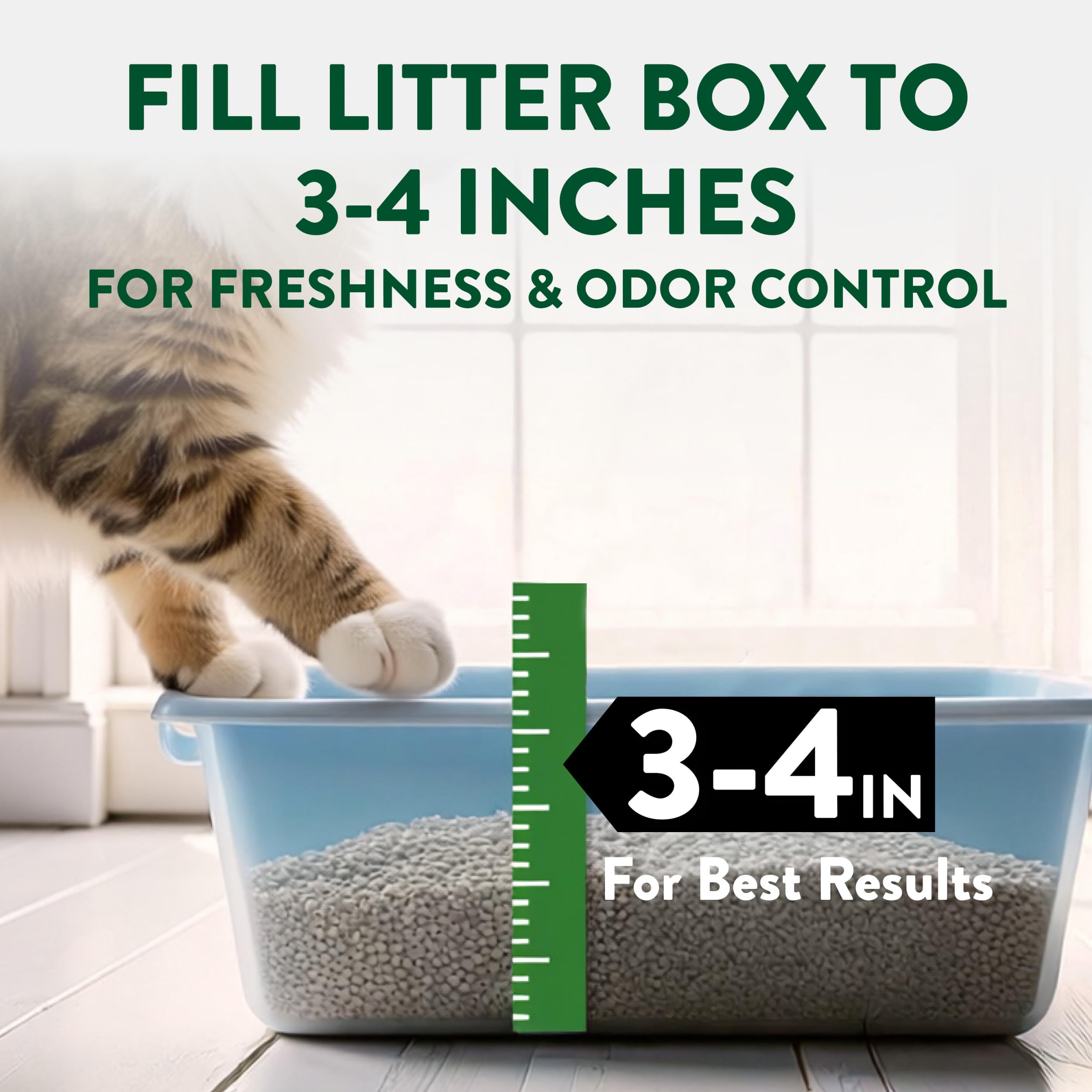 ARM & HAMMER bac multi-chats illustrant contrôle des odeurs