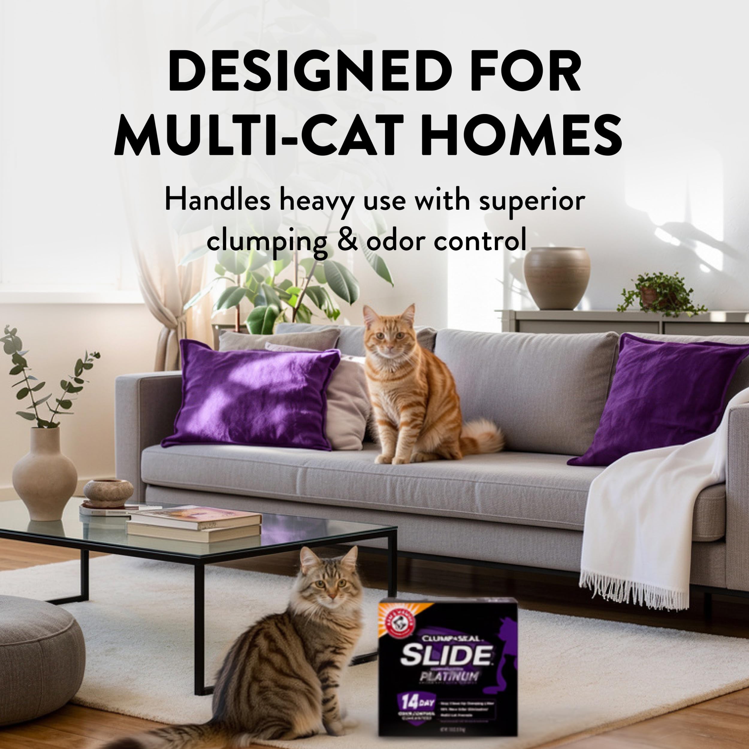 ARM & HAMMER démonstration multi-chat résiste à usage intensif