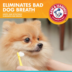 Arm & Hammer gel texture visible indiquant action enzymatique nettoyante