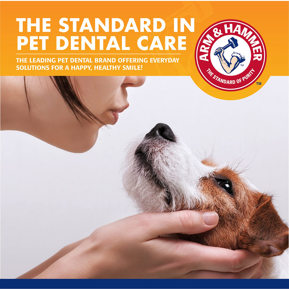 Arm & Hammer dentifrice noir au charbon sur la brosse, formule sécurisée