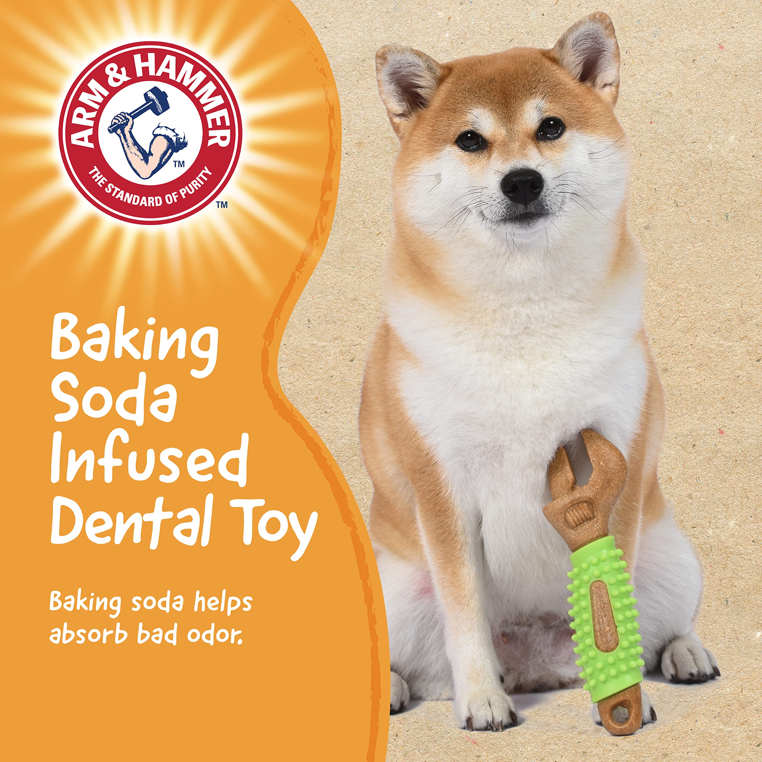 Arm & Hammer chien mâche le jouet au parc pour divertissement actif