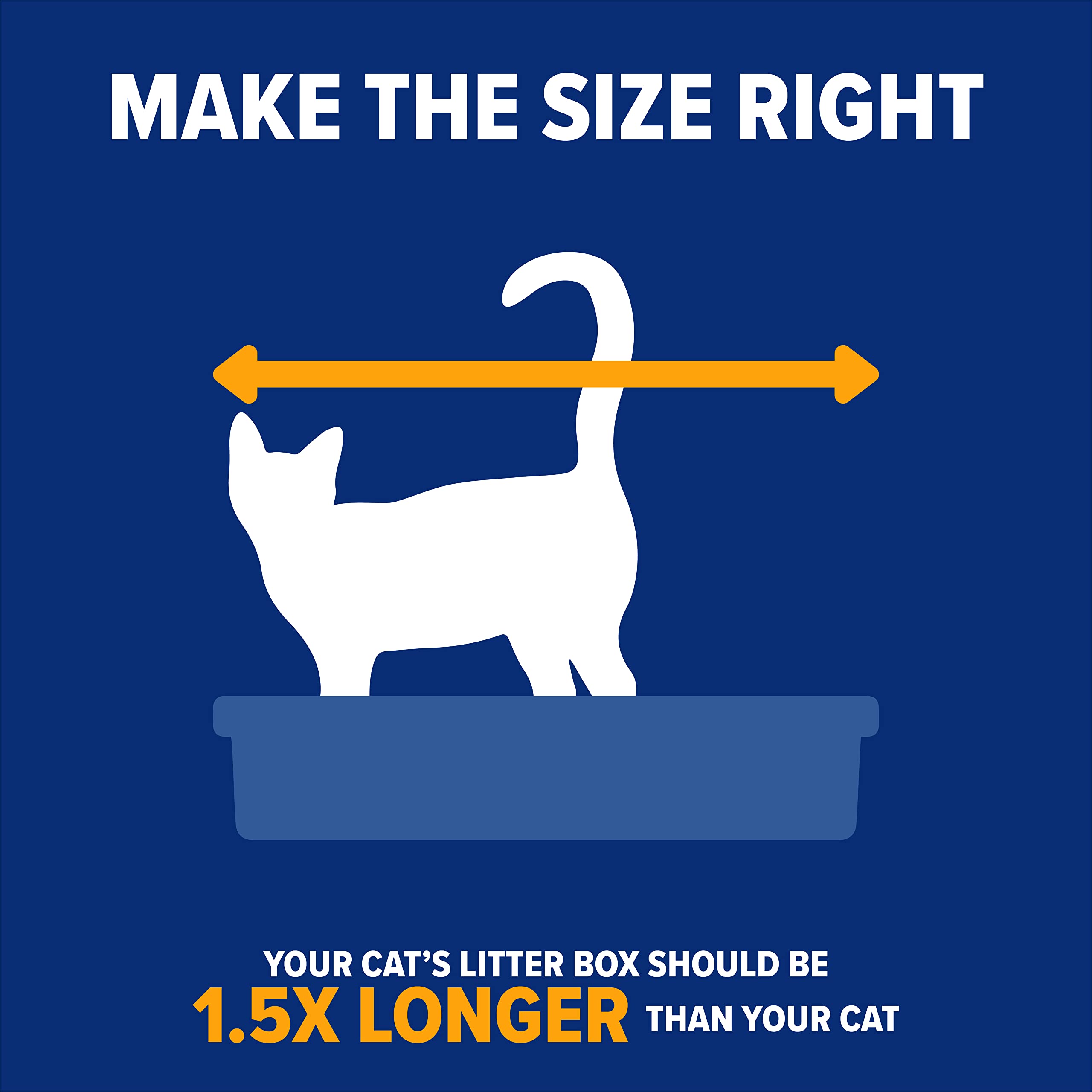 Arm & Hammer comparaison de taille avec chat pour évaluer l'espace