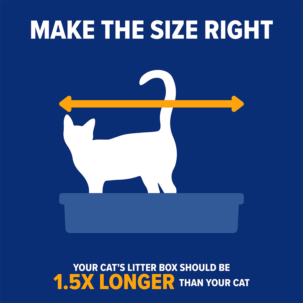 Arm & Hammer comparaison de taille avec chat pour évaluer l'espace