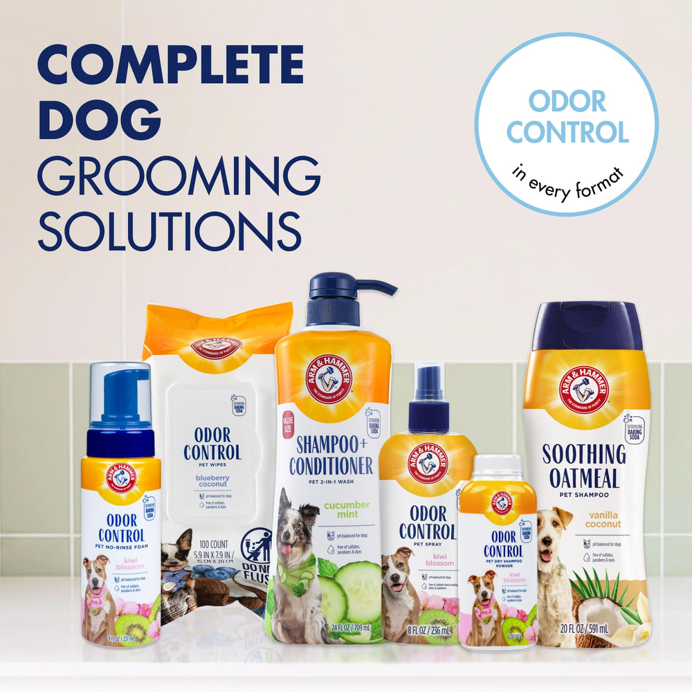 ARM & HAMMER deux bouteilles pack lot de 2 pour plusieurs bains