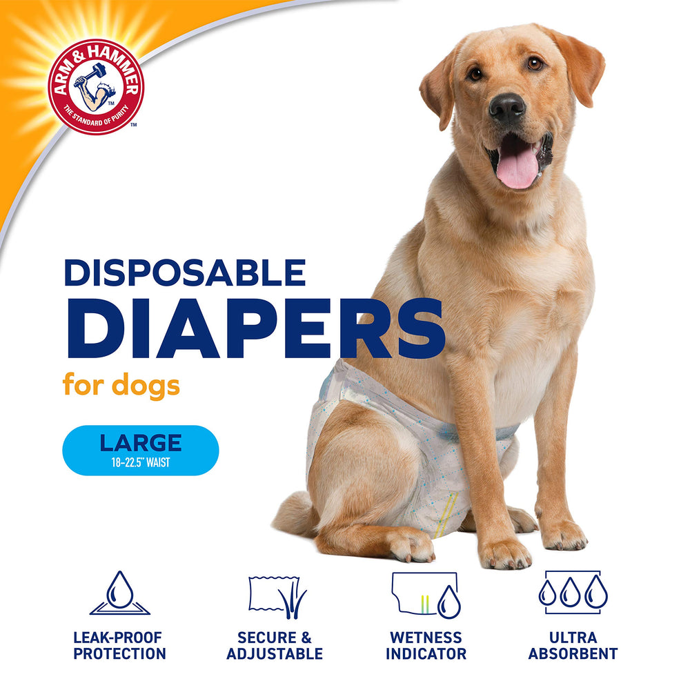ARM & HAMMER gros plan noyau absorbant pour rétention d'humidité