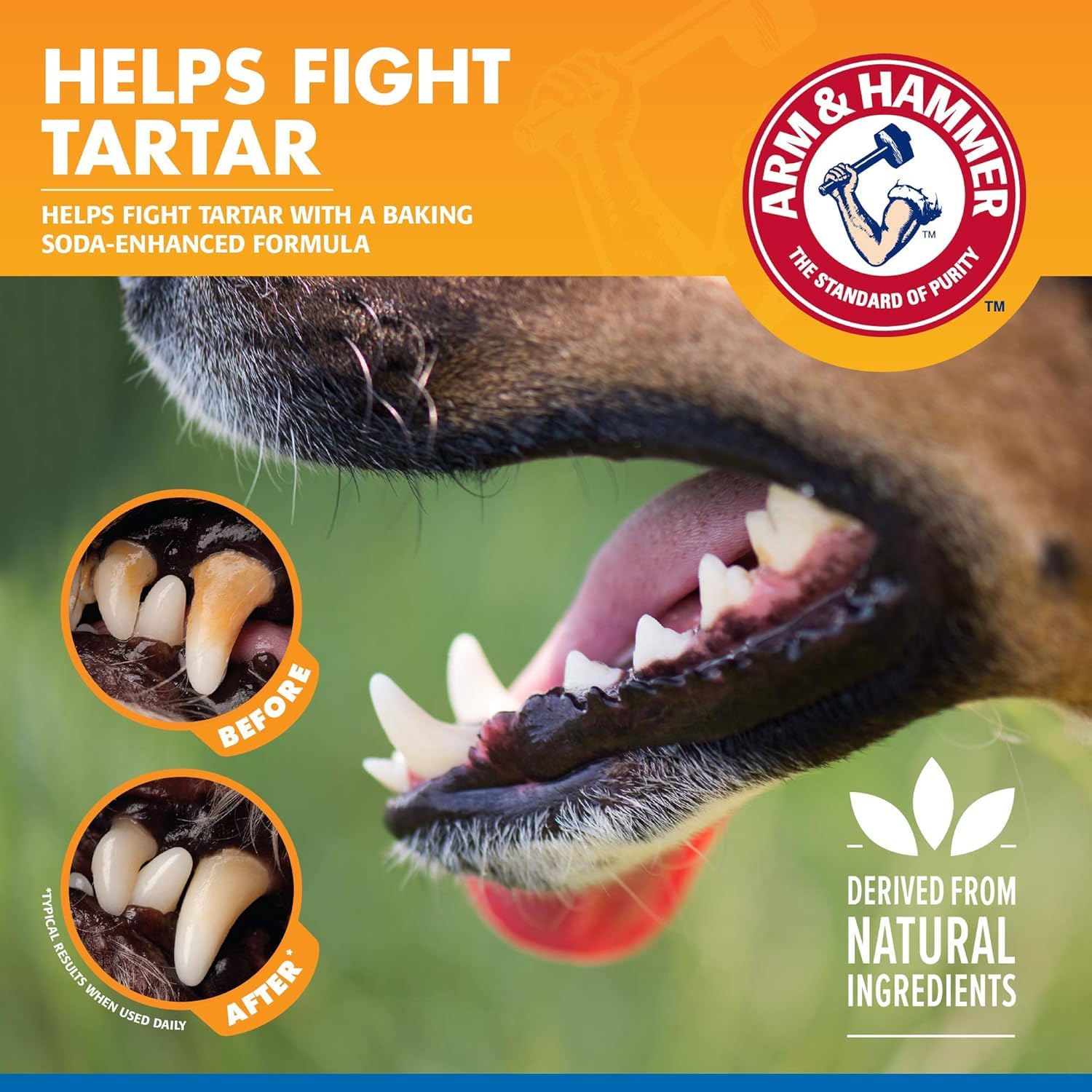 Arm & Hammer liquide clair illustrant formule inodore et invisible