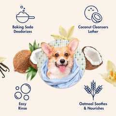 ARM & HAMMER application sur chien mouillé nettoie en douceur et respecte la peau
