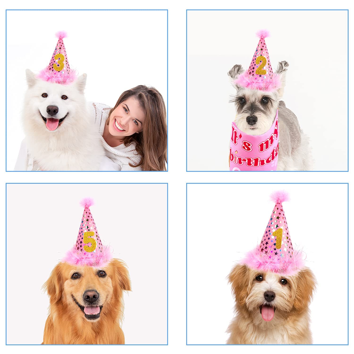 AROIC mise en scène photo d'anniversaire animal illustrant ambiance joyeuse
