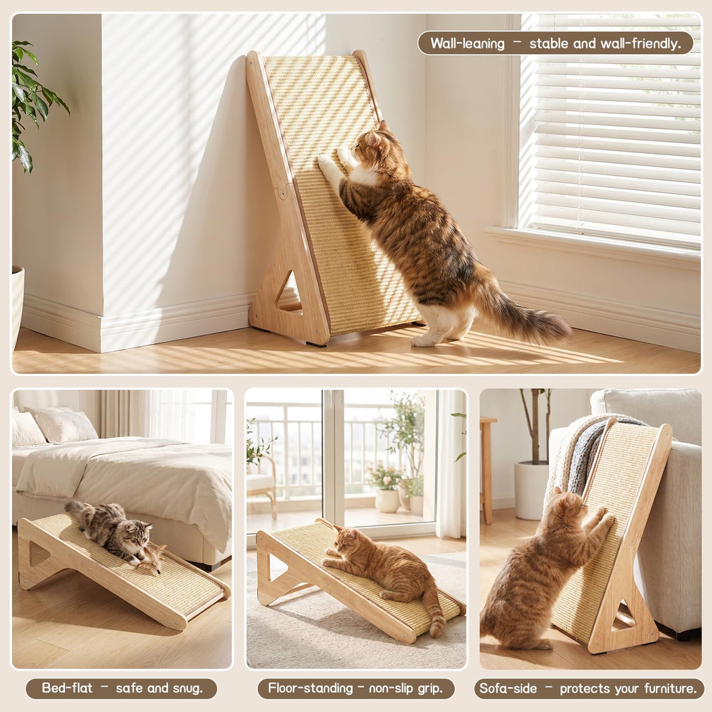 AROPEME comparaison taille montrant espace généreux pour chat adulte