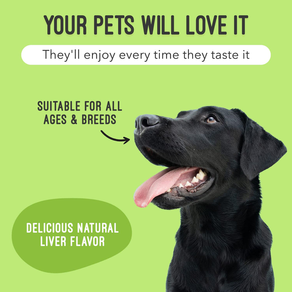 ArthriMAXX chien âgé appréciant bol avec produit pour confort