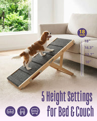 Artpet rampe en usage chien montant confortablement vers le canapé