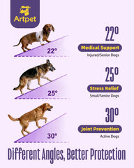 Artpet rampe pliée compacte avec poignée pour un transport simplifié