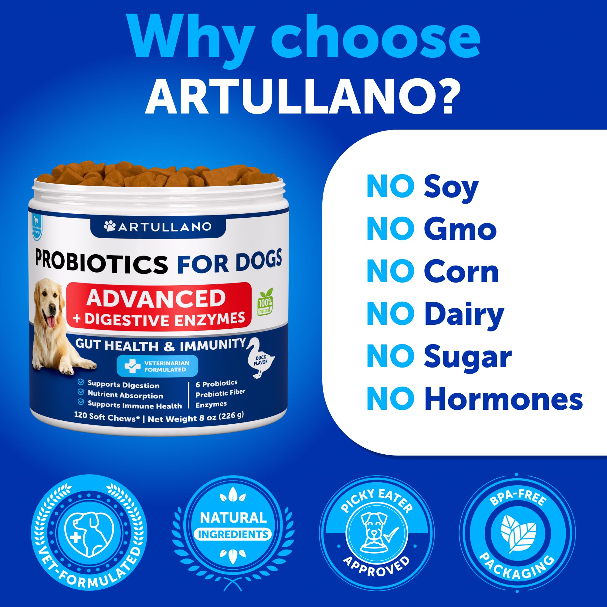 Artullano chews à côté d’une patte pour comparaison de taille pratique