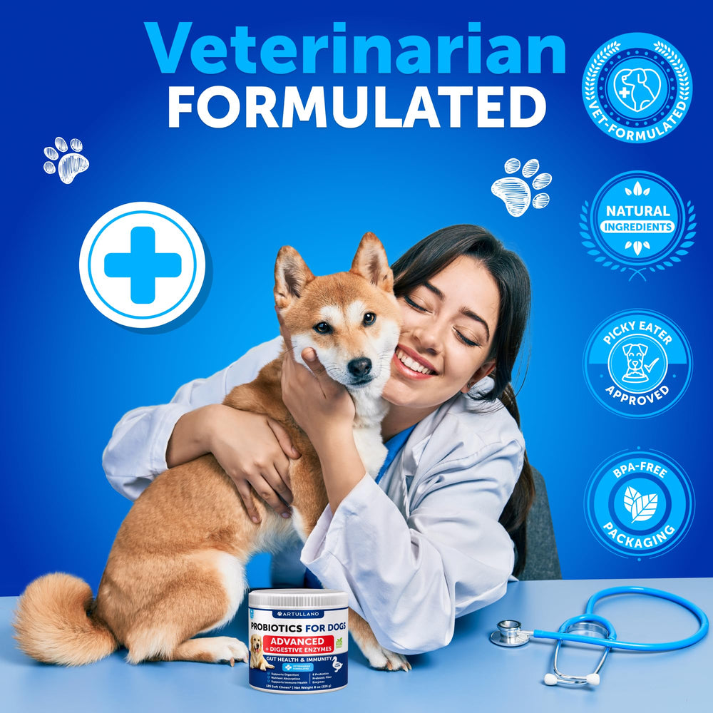 Artullano chews en scène extérieure suggérant bien-être digestif du chien