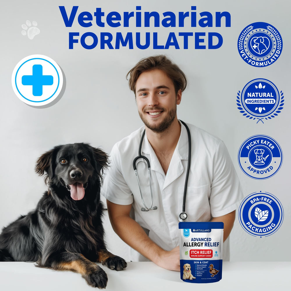 Artullano scène de vie salon montrant chien apaisé et pelage brillant