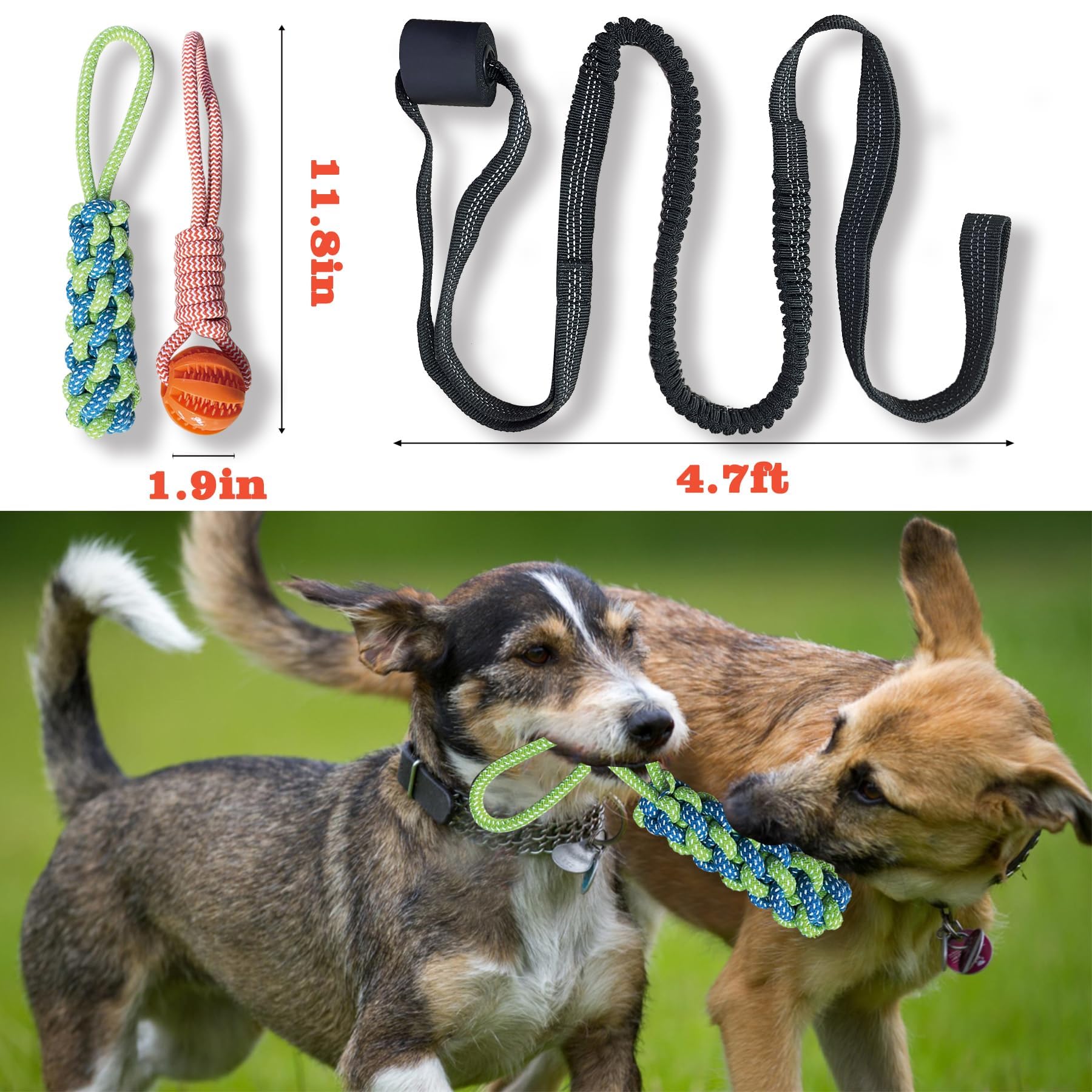 ASDICOXB gros plan corde coton 100% pour mastication sûre et nettoyage dentaire