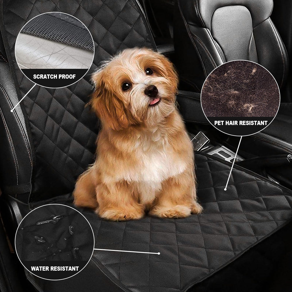 AsFrost housse en usage avec chien montrant confort et sécurité