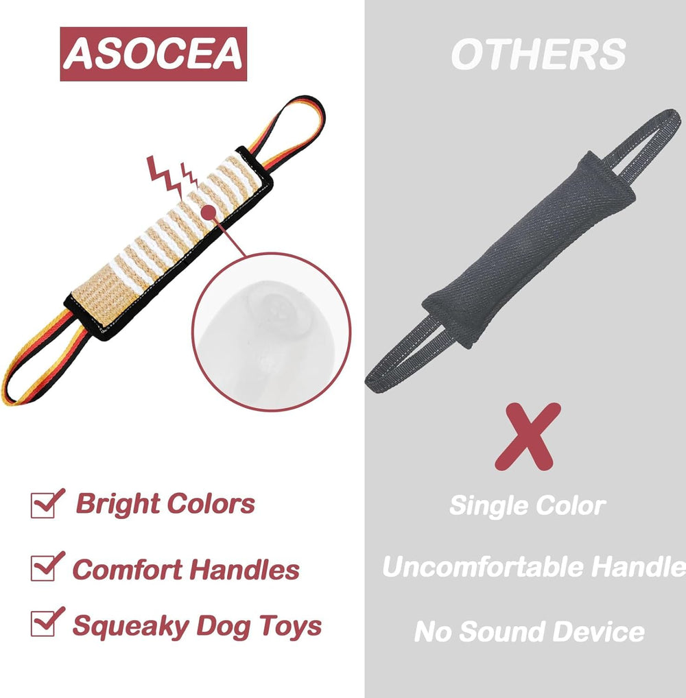 ASOCEA jeu extérieur renforce lien propriétaire et chien