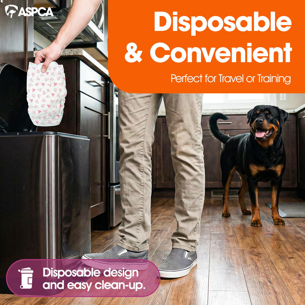 ASPCA attaches repositionnables maintien sûr et ajustable