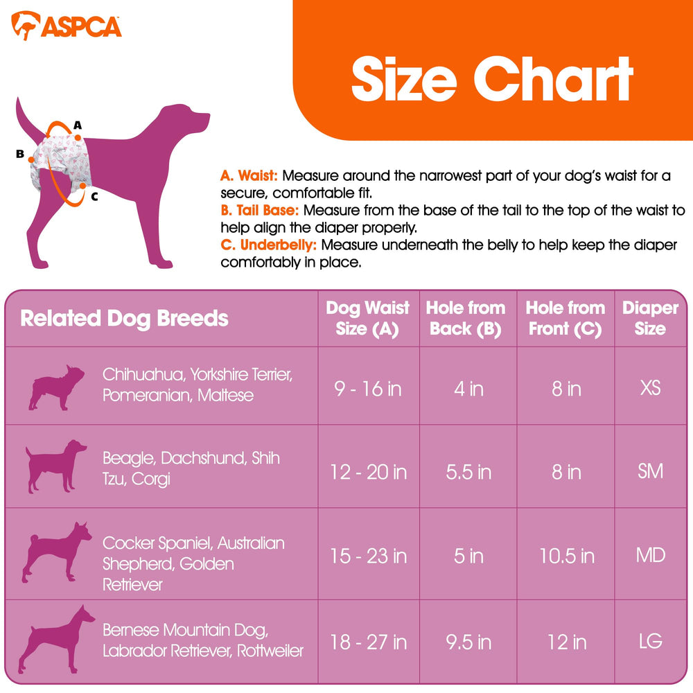 ASPCA couche en usage sur une chienne prévention des dégâts