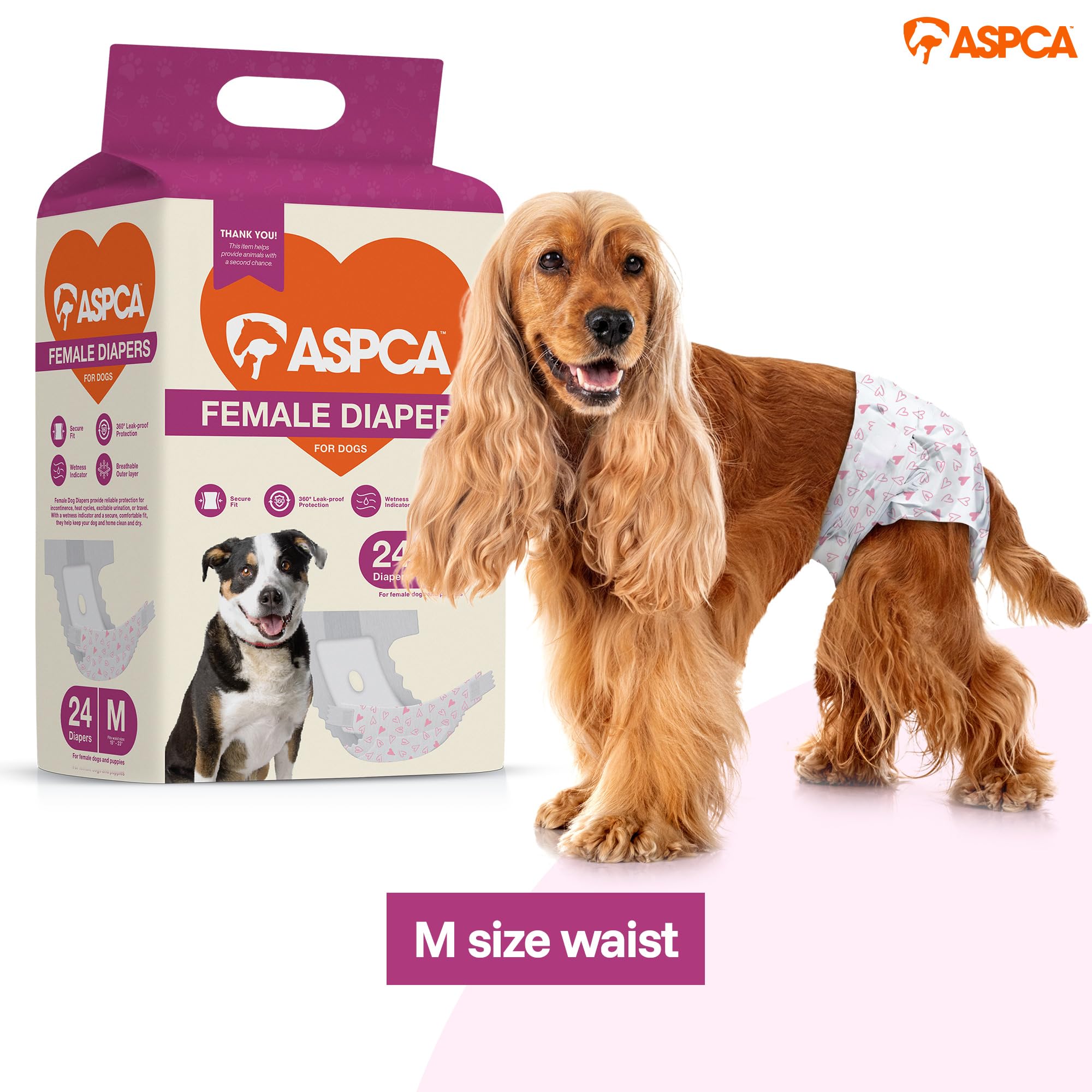 ASPCA ouverture pour la queue montrant ajustement adapté