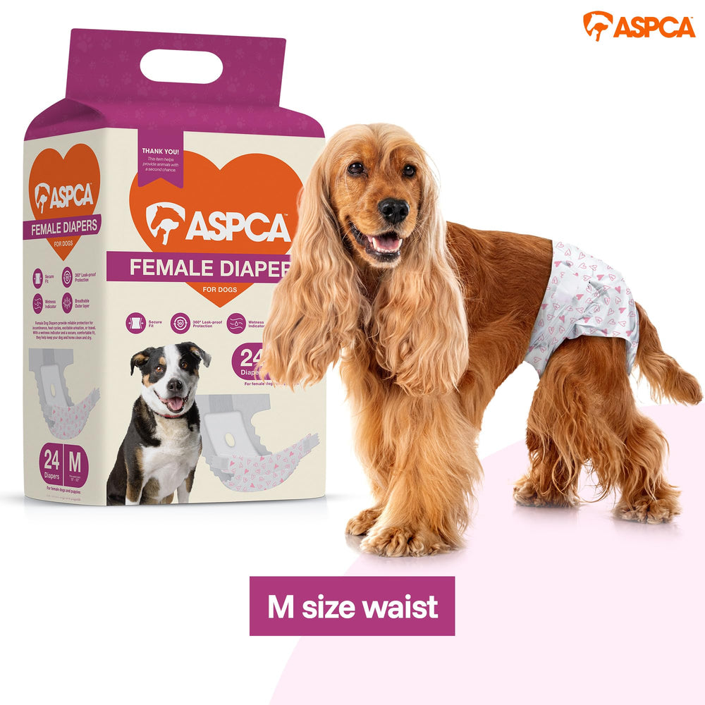ASPCA ouverture pour la queue montrant ajustement adapté