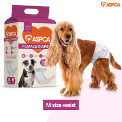 ASPCA ouverture pour la queue montrant ajustement adapté