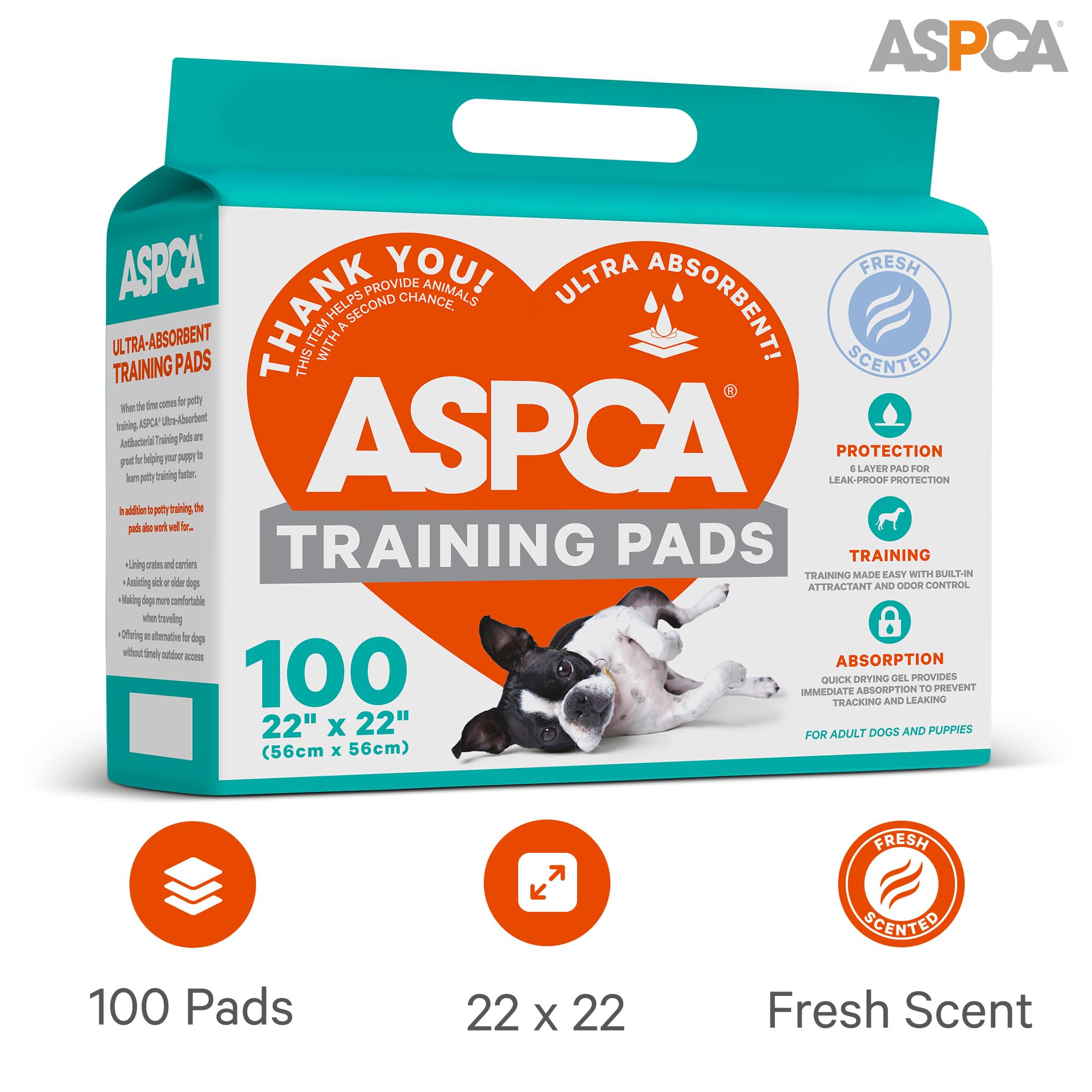 Gros plan texture en 6 couches ASPCA montrant l'absorption rapide pour moins de fuites