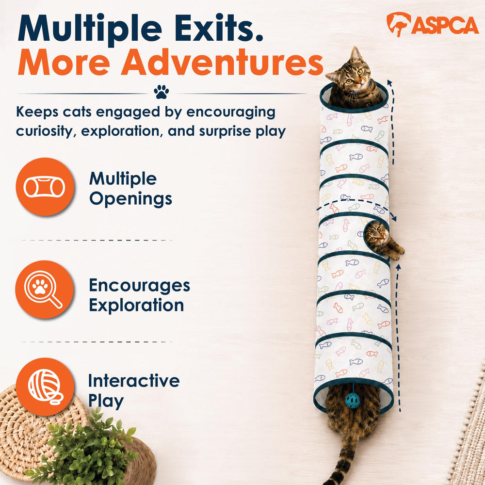 ASPCA tunnel jouet suspendu rattle en action pour capter l’attention