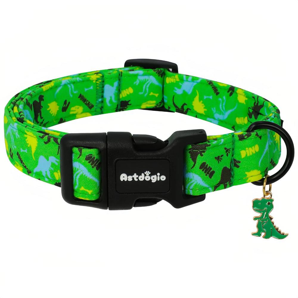 Astdogio collier recto packaging montrant motif dinosaure et couleurs vives