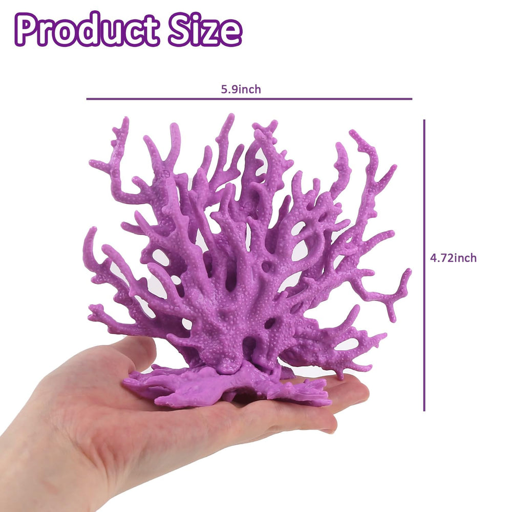 ASUNFO gros plan texture corail montrant surface lisse et durable
