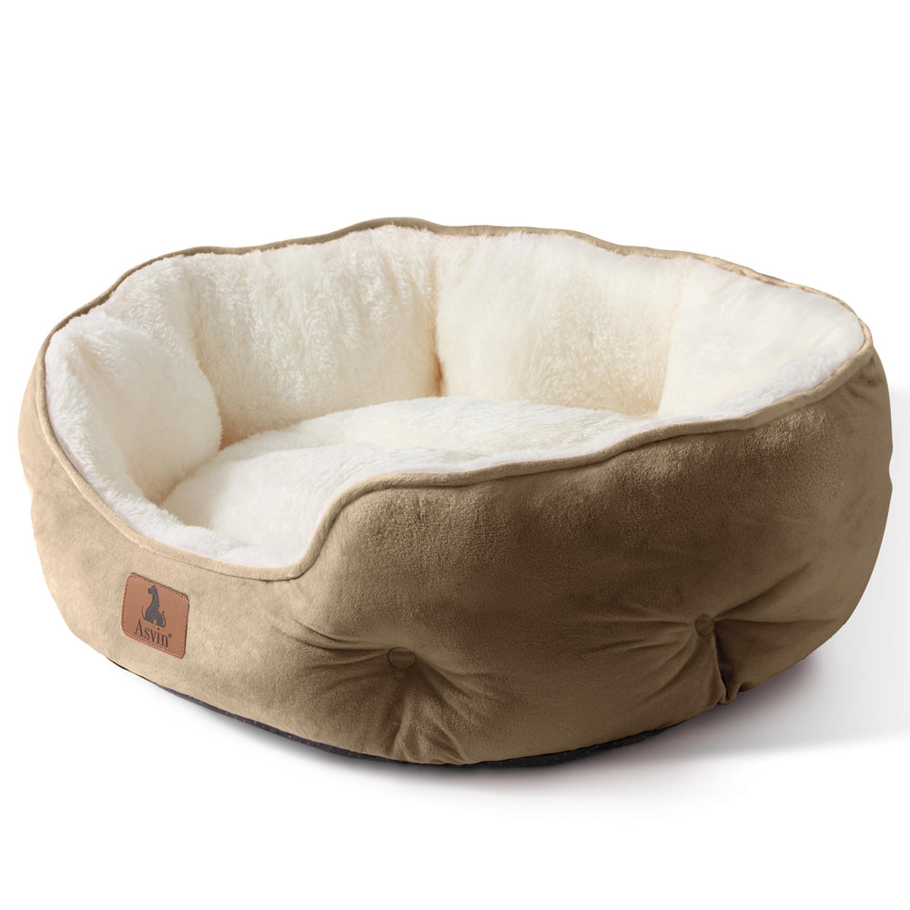 Asvin panier vue avant montrant le design et confort