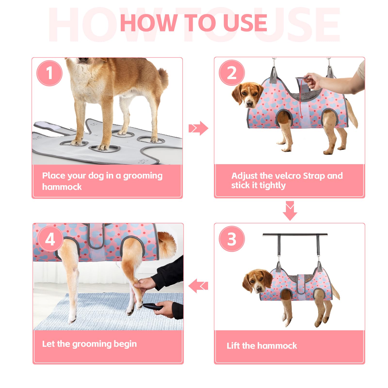 ATESON comparaison taille avec petit chien, aide à choisir la bonne taille