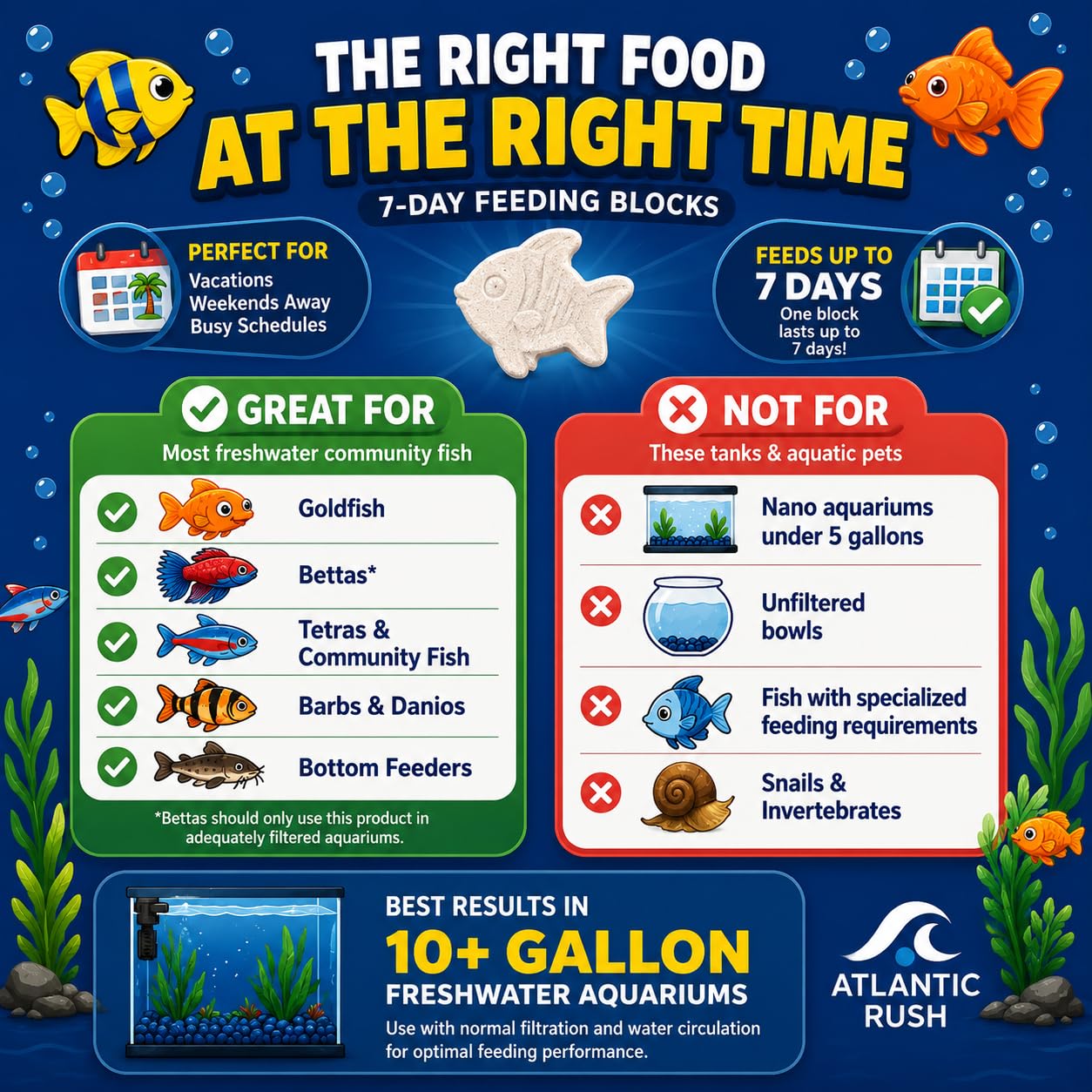 Atlantic Rush bloc placé dans l'aquarium fournissant alimentation régulière aux poissons