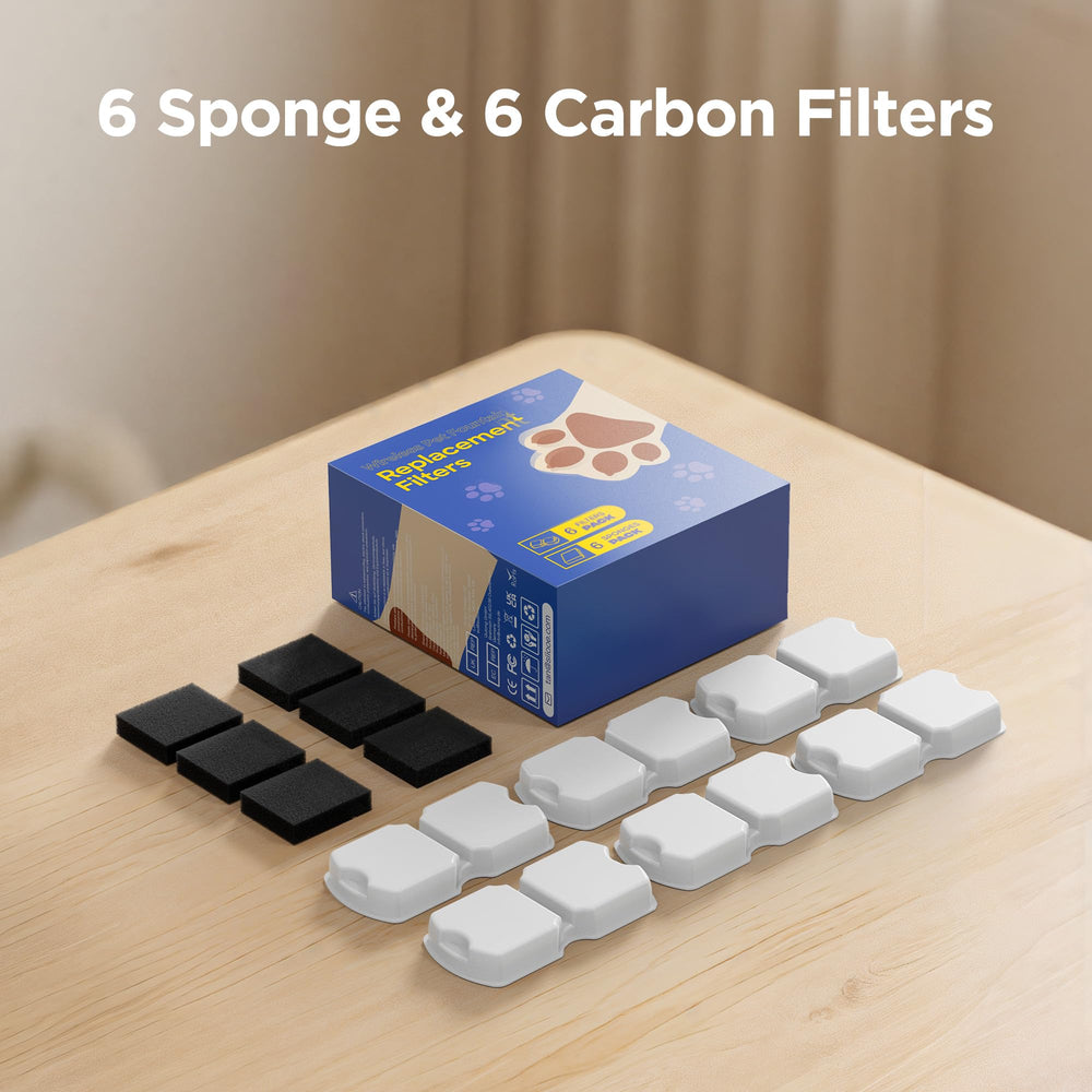 ATMZIQXR pack ouvert montrant six charbon et six mousses pratiques